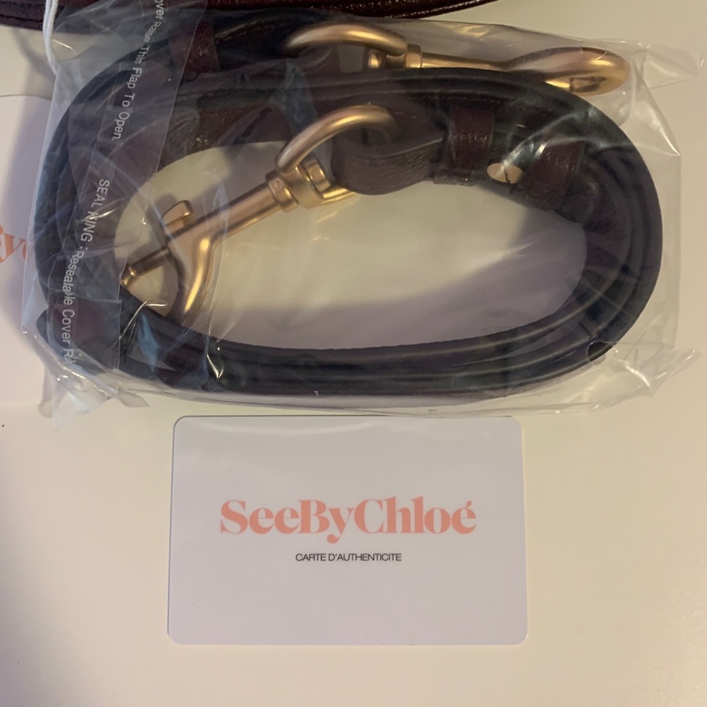 ❌SOLD❌See By Chloe Hana Bag - Picture 9 of 11
